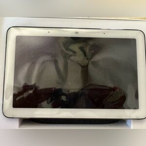 Google Home Hub and Google Mini